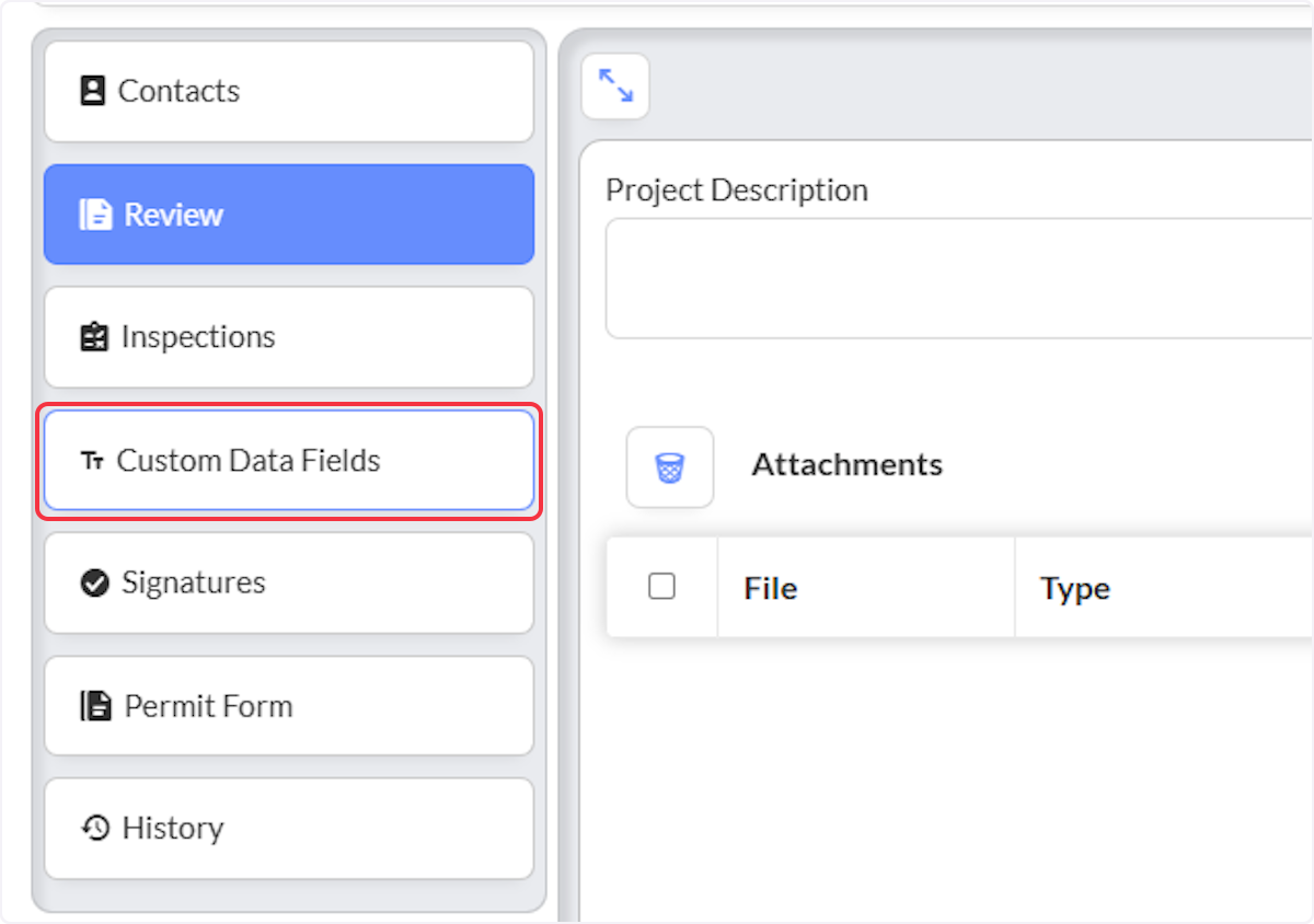 You will be automatically redirected to the Permit.  Click on Custom Data Fields