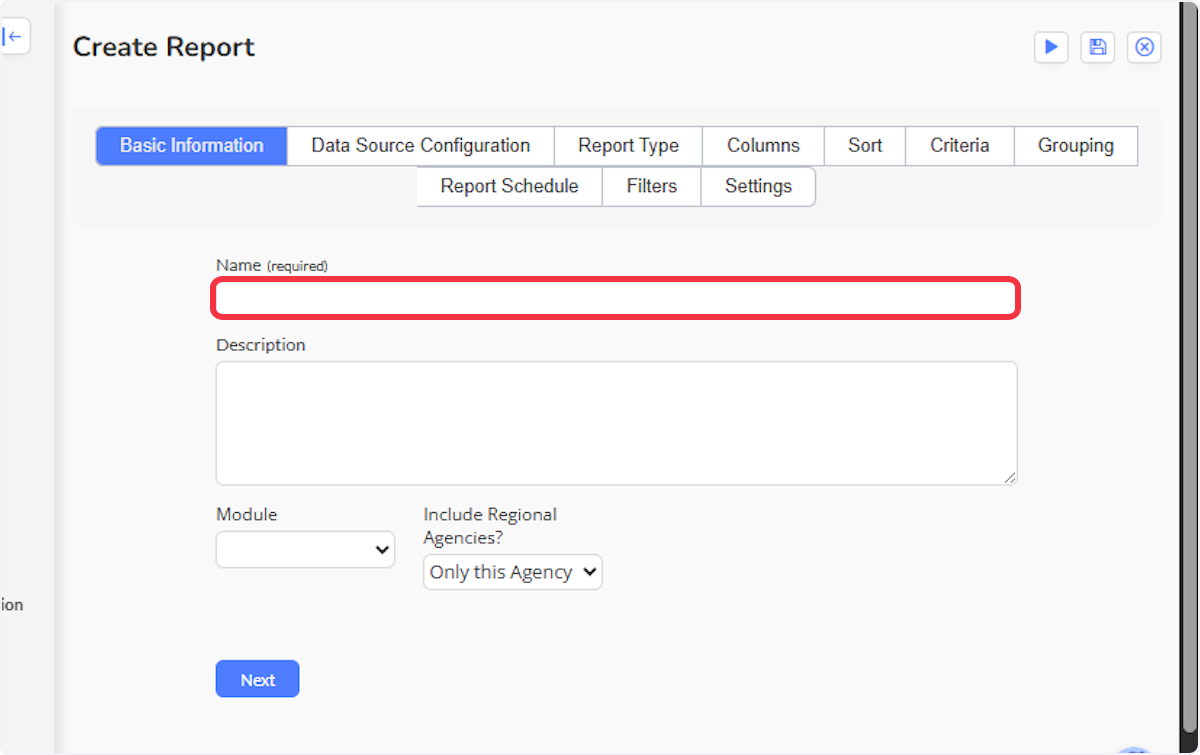 The first field is where you can name your report. 