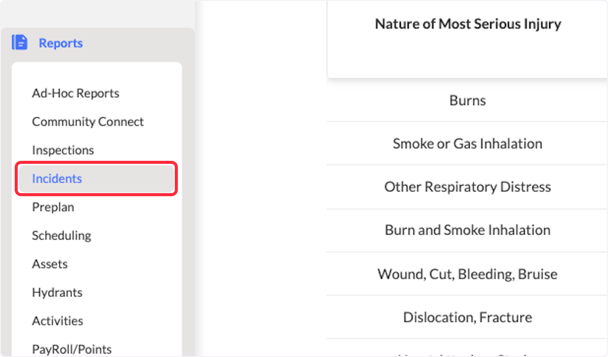 From the Reports Module, click on Incidents.