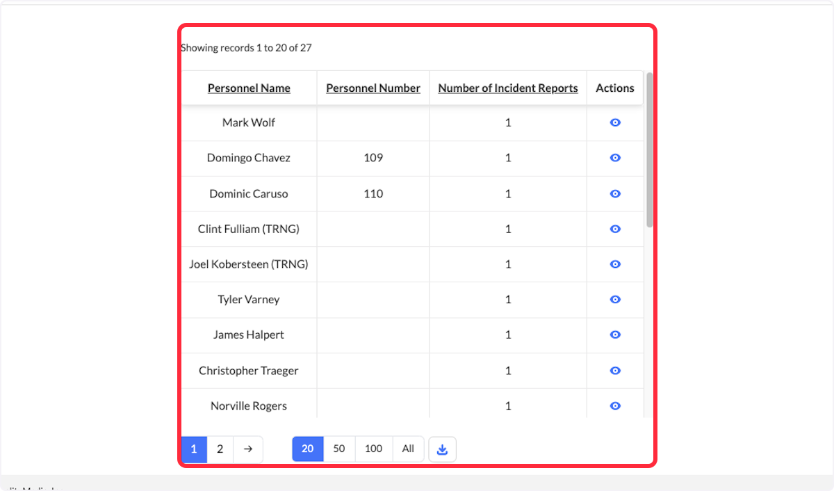 The report will be displayed below. 