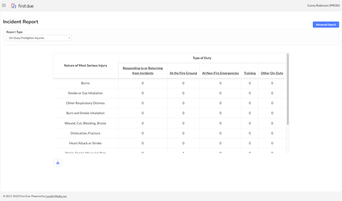The report will display below. 