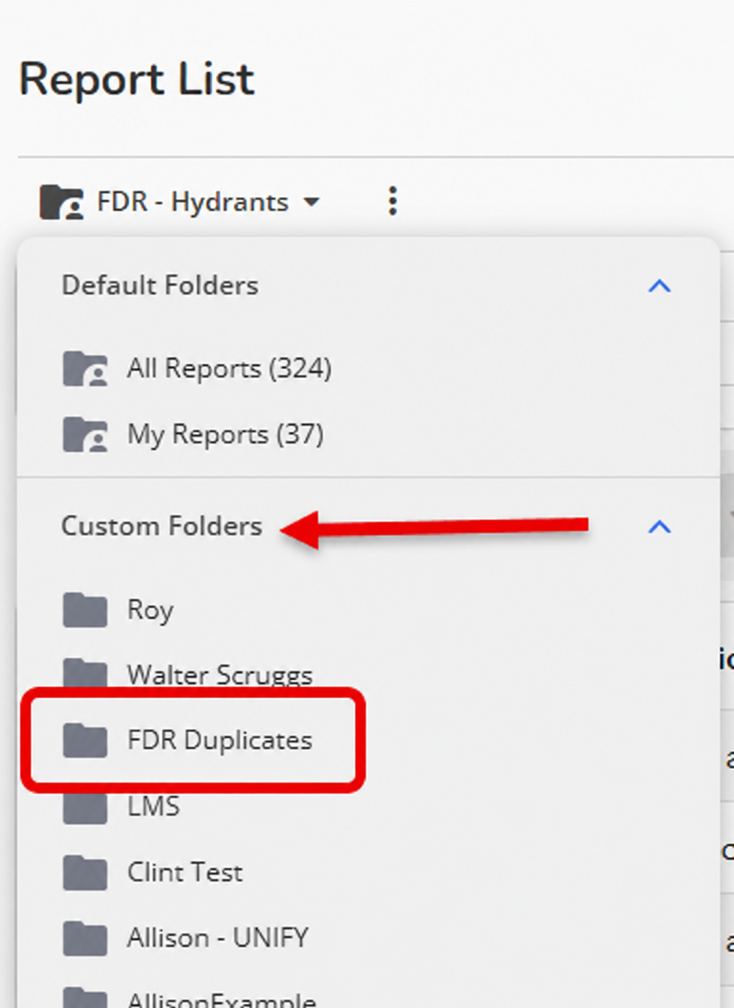 FDR Duplicates Folder.png